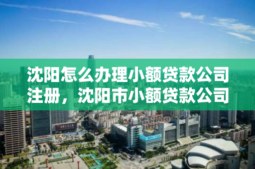 沈阳怎么办理小额贷款公司注册，沈阳市小额贷款公司