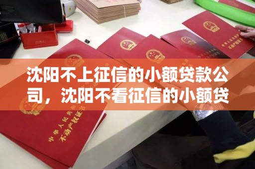 沈阳不上征信的小额贷款公司，沈阳不看征信的小额贷款