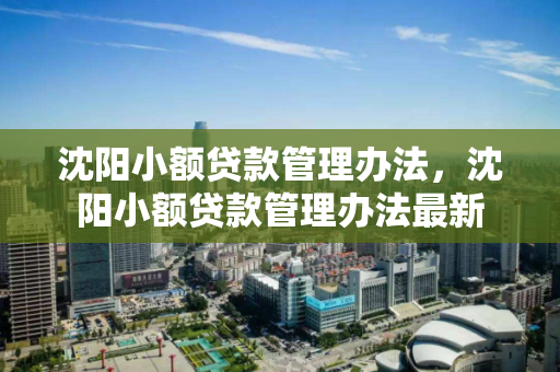 沈阳小额贷款管理办法，沈阳小额贷款管理办法最新