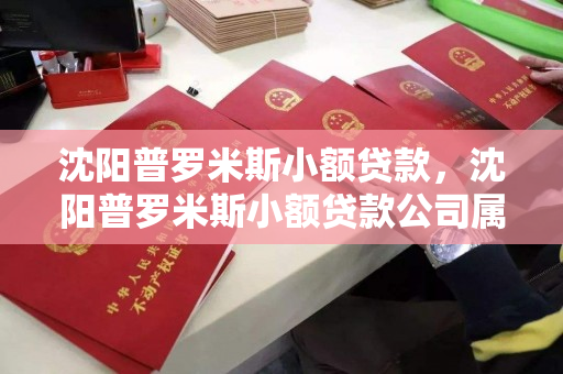 沈阳普罗米斯小额贷款，沈阳普罗米斯小额贷款公司属于网贷吗