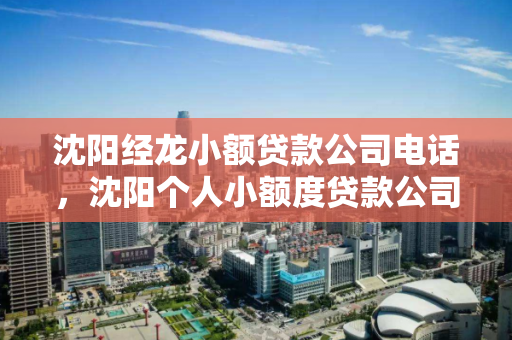 沈阳经龙小额贷款公司电话,沈阳个人小额度贷款公司电话 沈阳经龙小额贷款公司电话,沈阳个人小额度贷款公司电话