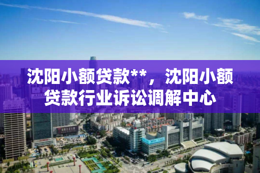沈阳小额贷款**，沈阳小额贷款行业诉讼调解中心