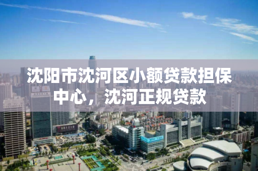 沈阳市沈河区小额贷款担保中心,沈河正规贷款 沈阳市沈河区小额贷款担保中心,沈河正规贷款