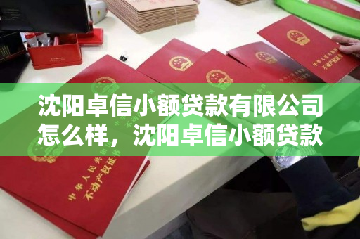 沈阳卓信小额贷款有限公司怎么样，沈阳卓信小额贷款有限公司怎么样啊