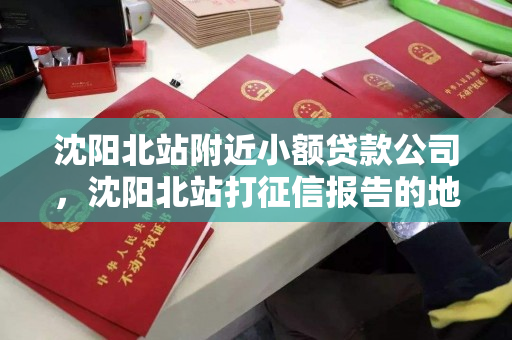 沈阳北站附近小额贷款公司，沈阳北站打征信报告的地方