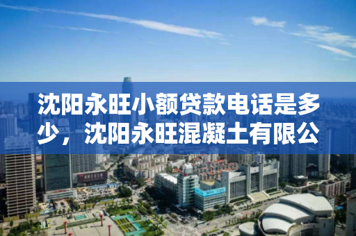 沈阳永旺小额贷款电话是多少，沈阳永旺混凝土有限公司