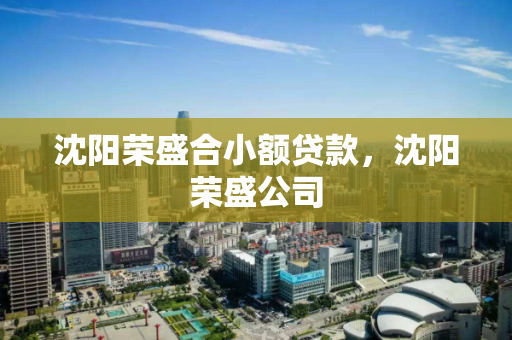 沈阳荣盛合小额贷款，沈阳荣盛公司