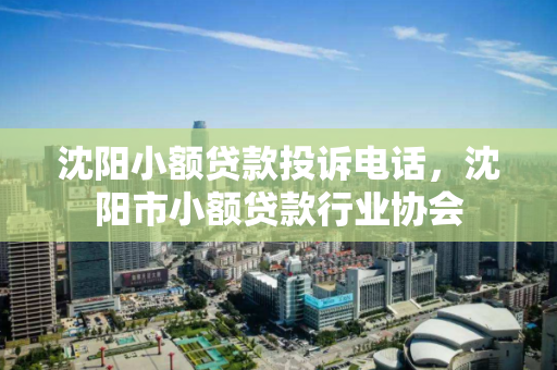 沈阳小额贷款投诉电话,沈阳市小额贷款行业协会 沈阳小额贷款投诉电话,沈阳市小额贷款行业协会