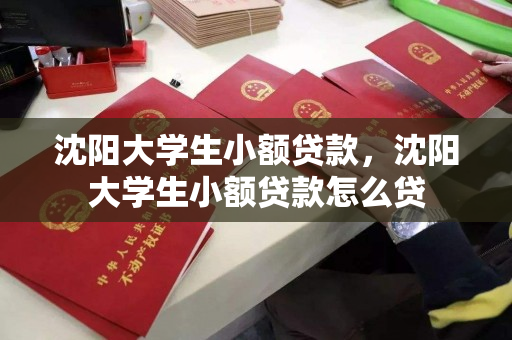 沈阳大学生小额贷款,沈阳大学生小额贷款怎么贷 沈阳大学生小额贷款,沈阳大学生小额贷款怎么贷