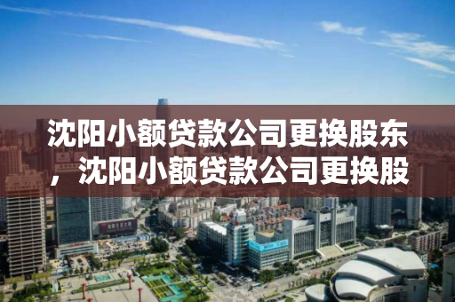 沈阳小额贷款公司更换股东，沈阳小额贷款公司更换股东要多久