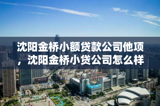 沈阳金桥小额贷款公司他项，沈阳金桥小贷公司怎么样