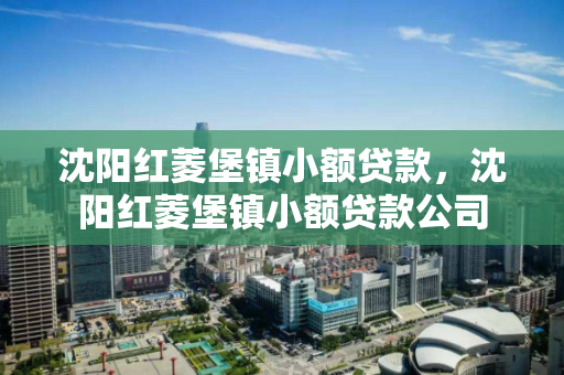 沈阳红菱堡镇小额贷款,沈阳红菱堡镇小额贷款公司 沈阳红菱堡镇小额贷款,沈阳红菱堡镇小额贷款公司