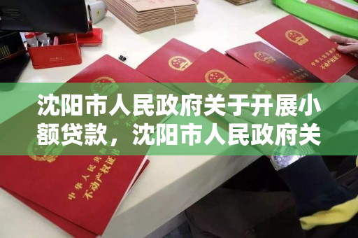 沈阳市人民政府关于开展小额贷款，沈阳市人民政府关于开展小额贷款的文件