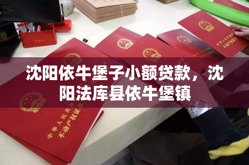 沈阳依牛堡子小额贷款,沈阳法库县依牛堡镇 沈阳依牛堡子小额贷款,沈阳法库县依牛堡镇