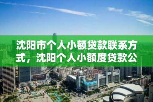 沈阳市个人小额贷款联系方式,沈阳个人小额度贷款公司电话 沈阳市个人小额贷款联系方式,沈阳个人小额度贷款公司电话