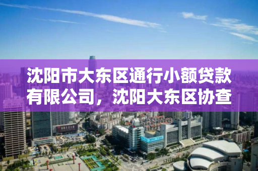 沈阳市大东区通行小额贷款有限公司，沈阳大东区协查通报