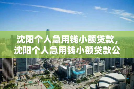 沈阳个人急用钱小额贷款，沈阳个人急用钱小额贷款公司