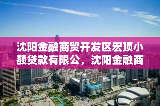 沈阳金融商贸开发区宏顶小额贷款有限公,沈阳金融商贸开发区宏顶小额贷款有限公司 沈阳金融商贸开发区宏顶小额贷款有限公,沈阳金融商贸开发区宏顶小额贷款有限公司