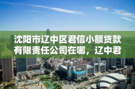 沈阳市辽中区君信小额贷款有限责任公司在哪,辽中君信贷款公司正规吗 沈阳市辽中区君信小额贷款有限责任公司在哪,辽中君信贷款公司正规吗