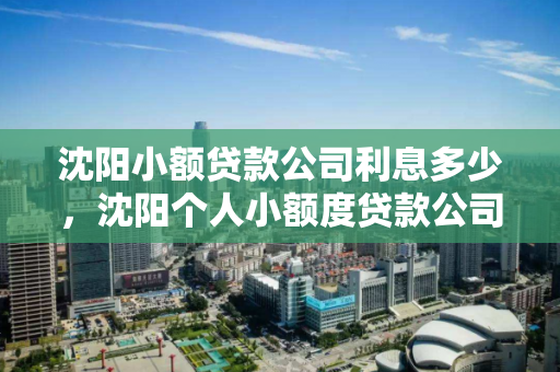 沈阳小额贷款公司利息多少,沈阳个人小额度贷款公司电话 沈阳小额贷款公司利息多少,沈阳个人小额度贷款公司电话