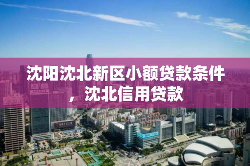 沈阳沈北新区小额贷款条件，沈北信用贷款