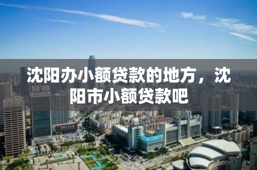 沈阳办小额贷款的地方，沈阳市小额贷款吧