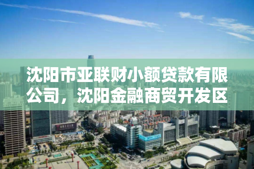 沈阳市亚联财小额贷款有限公司,沈阳金融商贸开发区亚联财小额贷款有限公司 沈阳市亚联财小额贷款有限公司,沈阳金融商贸开发区亚联财小额贷款有限公司