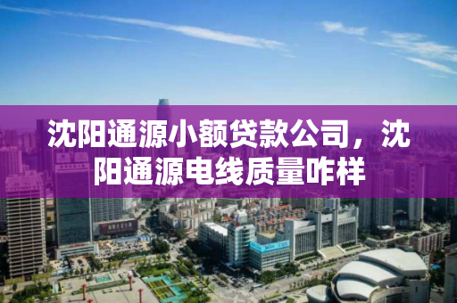 沈阳通源小额贷款公司，沈阳通源电线质量咋样