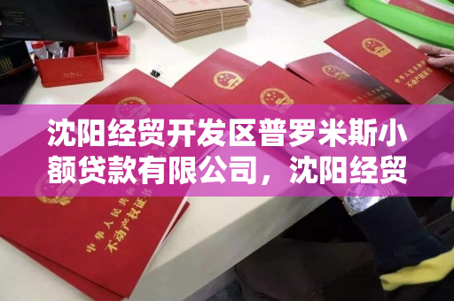 沈阳经贸开发区普罗米斯小额贷款有限公司，沈阳经贸开发区普罗米斯小额贷款有限公司怎么样