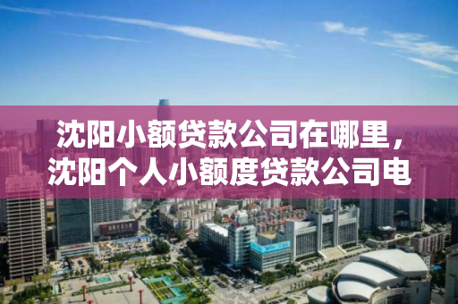 沈阳小额贷款公司在哪里,沈阳个人小额度贷款公司电话 沈阳小额贷款公司在哪里,沈阳个人小额度贷款公司电话