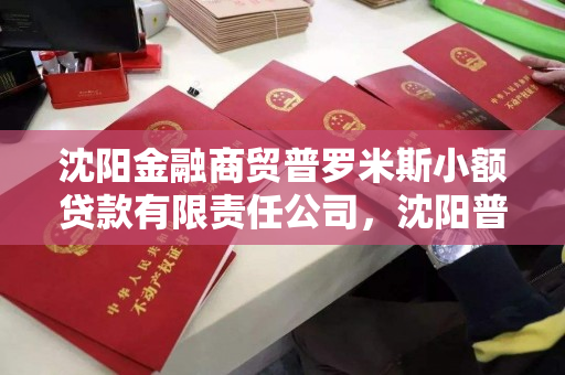 沈阳金融商贸普罗米斯小额贷款有限责任公司，沈阳普罗米斯小额贷款公司怎么样