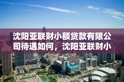 沈阳亚联财小额贷款有限公司待遇如何,沈阳亚联财小额贷款有限公司待遇如何啊 沈阳亚联财小额贷款有限公司待遇如何,沈阳亚联财小额贷款有限公司待遇如何啊