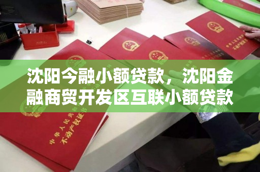 沈阳今融小额贷款，沈阳金融商贸开发区互联小额贷款有限公司
