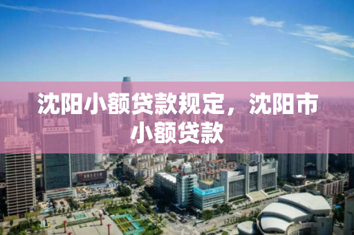 沈阳小额贷款规定，沈阳市小额贷款