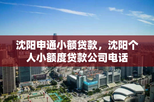沈阳申通小额贷款，沈阳个人小额度贷款公司电话