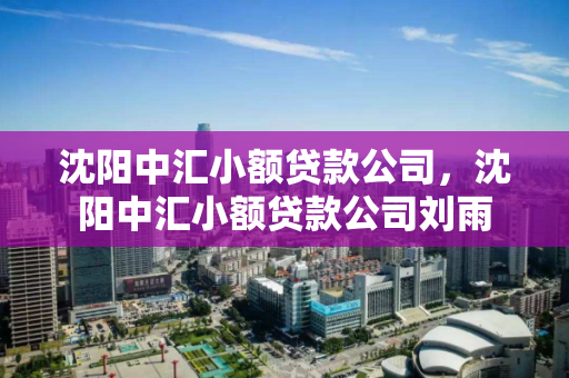沈阳中汇小额贷款公司，沈阳中汇小额贷款公司刘雨