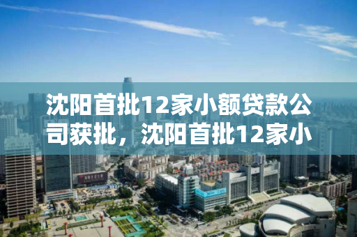 沈阳首批12家小额贷款公司获批,沈阳首批12家小额贷款公司获批名单 沈阳首批12家小额贷款公司获批,沈阳首批12家小额贷款公司获批名单