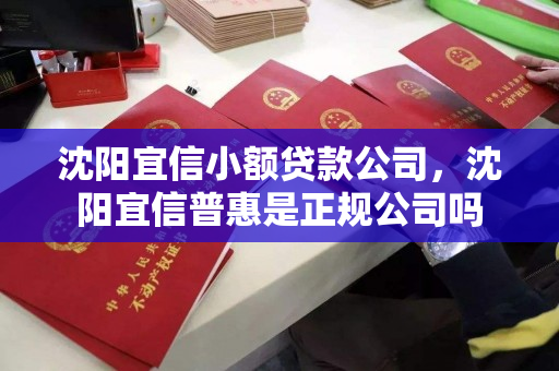 沈阳宜信小额贷款公司,沈阳宜信普惠是正规公司吗 沈阳宜信小额贷款公司,沈阳宜信普惠是正规公司吗