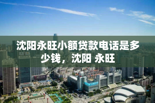 沈阳永旺小额贷款电话是多少钱，沈阳 永旺