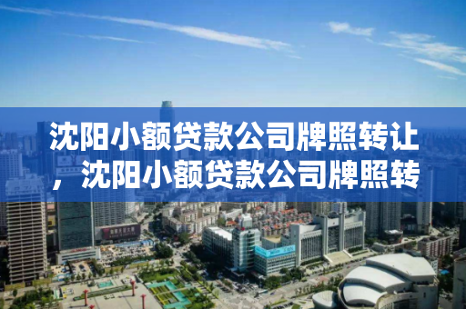 沈阳小额贷款公司牌照转让，沈阳小额贷款公司牌照转让多少钱