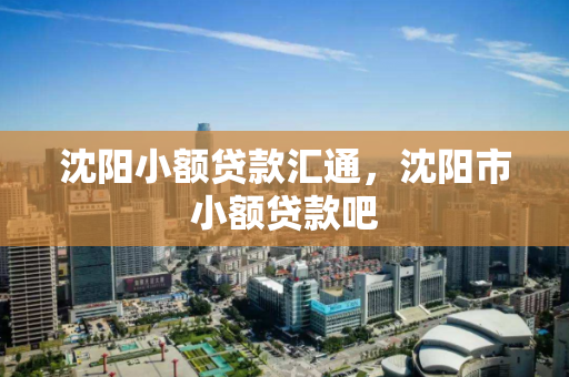 沈阳小额贷款汇通，沈阳市小额贷款吧