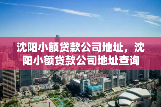 沈阳小额贷款公司地址，沈阳小额贷款公司地址查询