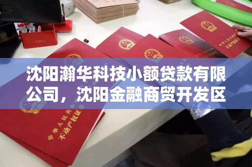 沈阳瀚华科技小额贷款有限公司，沈阳金融商贸开发区瀚华科技小额贷款有限公司