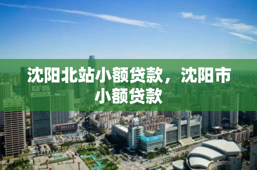 沈阳北站小额贷款,沈阳市小额贷款 沈阳北站小额贷款,沈阳市小额贷款