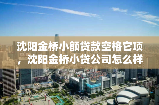 沈阳金桥小额贷款空格它项，沈阳金桥小贷公司怎么样