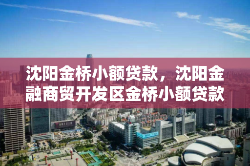 沈阳金桥小额贷款,沈阳金融商贸开发区金桥小额贷款有限公司 沈阳金桥小额贷款,沈阳金融商贸开发区金桥小额贷款有限公司