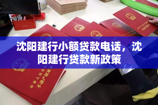 沈阳建行小额贷款电话，沈阳建行贷款新政策