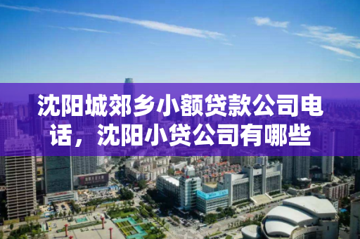 沈阳城郊乡小额贷款公司电话，沈阳小贷公司有哪些