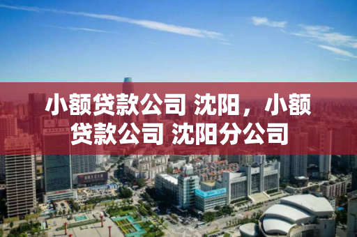 小额贷款公司 沈阳,小额贷款公司 沈阳分公司 小额贷款公司 沈阳,小额贷款公司 沈阳分公司
