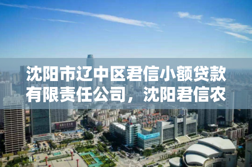 沈阳市辽中区君信小额贷款有限责任公司,沈阳君信农场 沈阳市辽中区君信小额贷款有限责任公司,沈阳君信农场